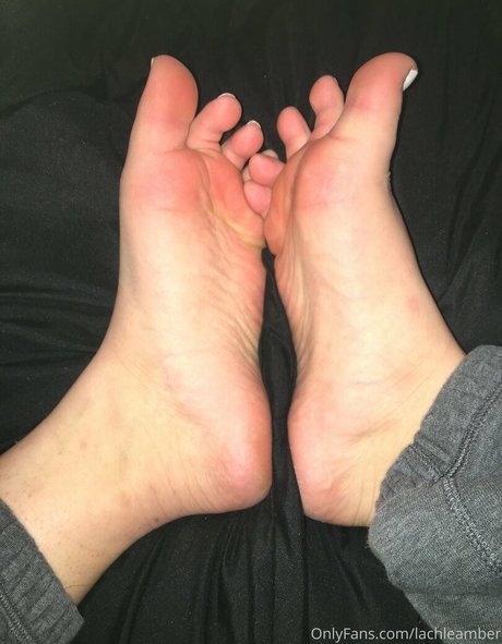 lachleamber nette bilder