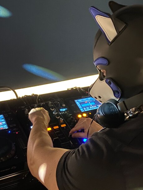 pupbuday freie hübsche bild