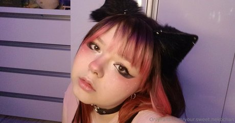 your sweet nekochan kunst top galerie