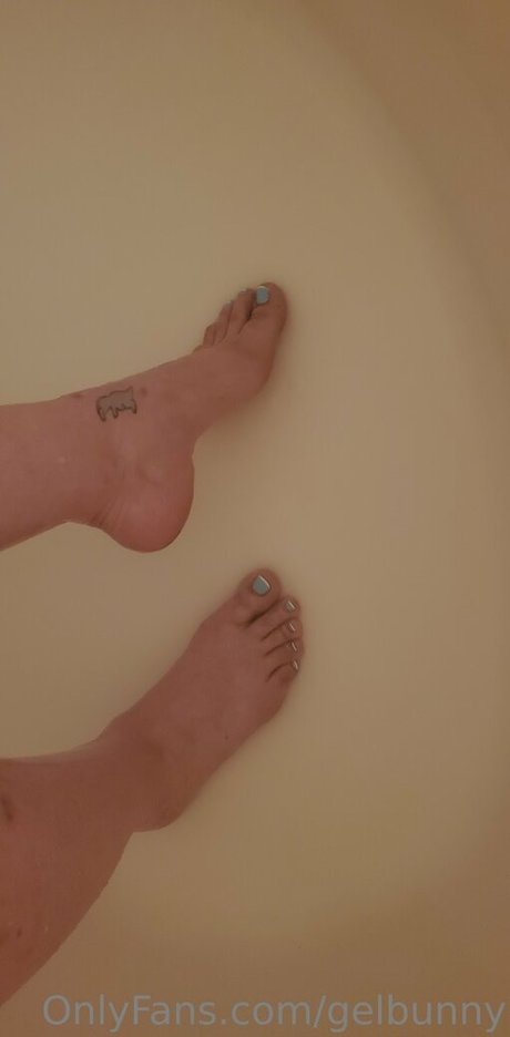 gelbunny freie perfekte bilder