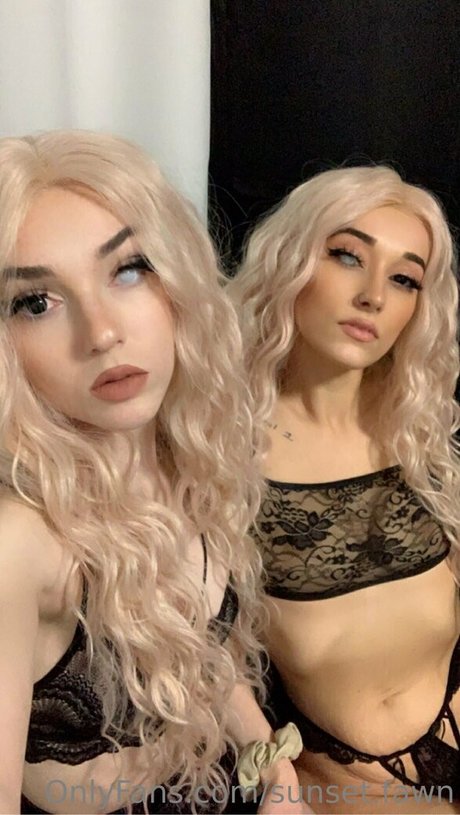 sunset fawn freie hübsche bild