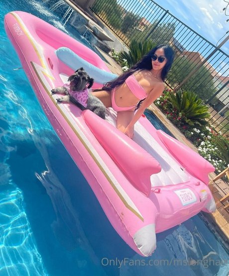 mslonghair pornostar beste bild