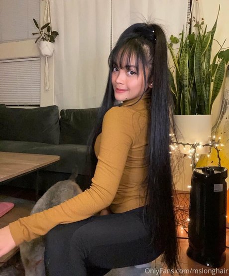 mslonghair hübsche perfekte foto