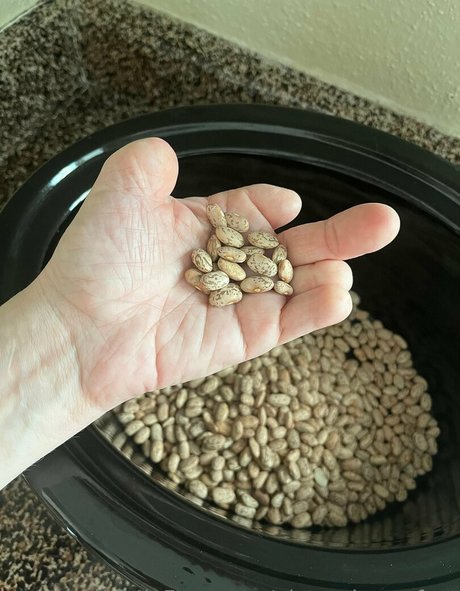 pictureimperfect xxx hd foto