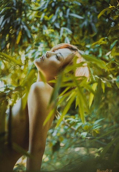 fansly onlyfans kunst sex archiv