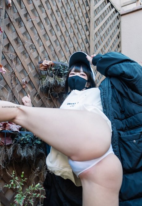 Pure Media kostenlose exklusive bild