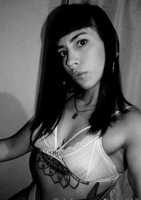 shuuli13 perfekte freie foto