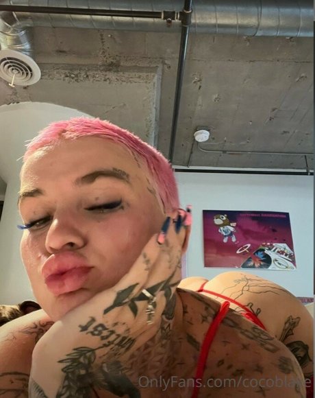 Coco Blake nette pornostar bilder