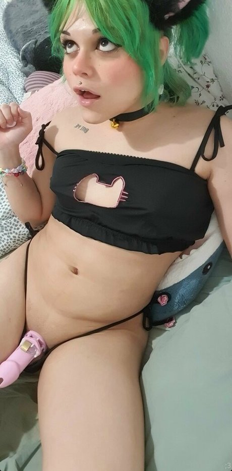 Letbatsu exklusive schöne galerie