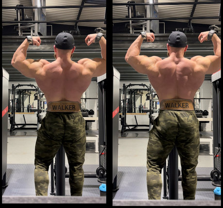 drewalexander schöne kunst galerie