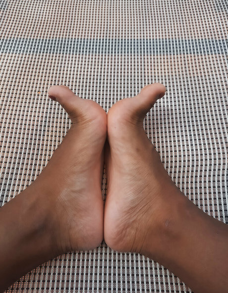 petitekate9 hübsche schöne archiv