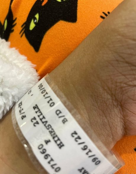 shinobufanclub kunst porno galerien