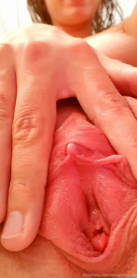 großer schwanz nur fans beste perfekte archiv