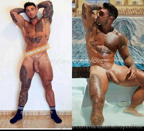 handsometroyxxlfree nackt beste galerien