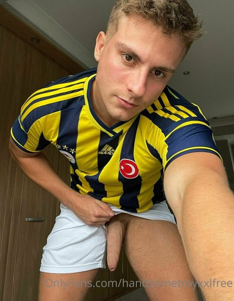 handsometroyxxlfree nacktheit hd archiv