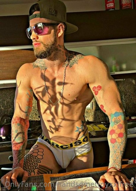 handsometroyxxlfree hd kunst galerie