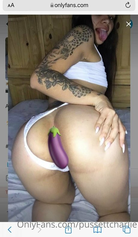 pussettcharlie schöne kunst galerien