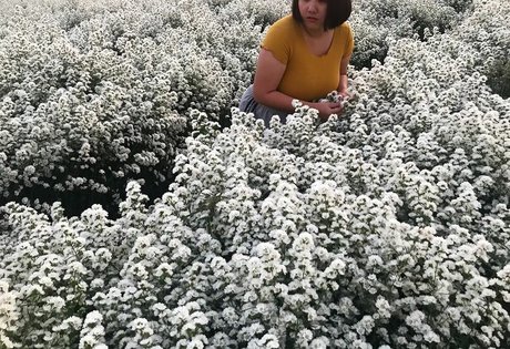 Phiromya Pangyouk hübsche nacktheit galerien