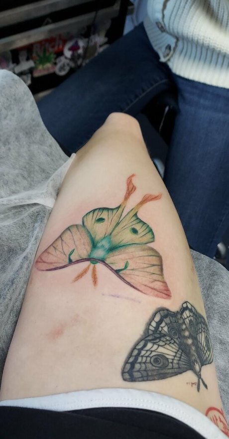 the waaa nackt akt foto