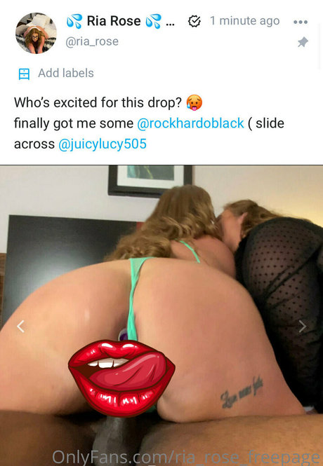 ria rose freepage beste kostenlose bilder