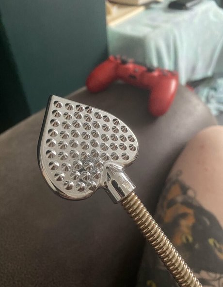 lifeofnessavip schöne bild