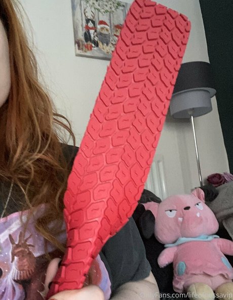 lifeofnessavip Bilder