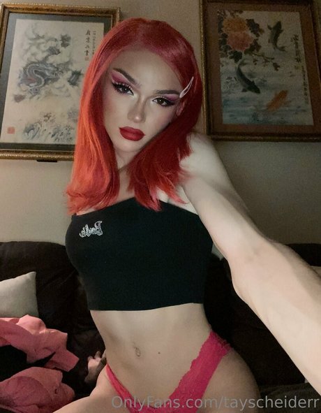 tayscheiderr beste top bild