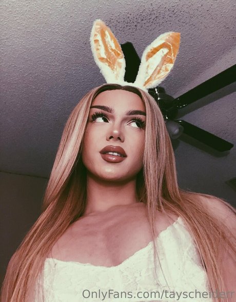 tayscheiderr kostenlose hd fotos