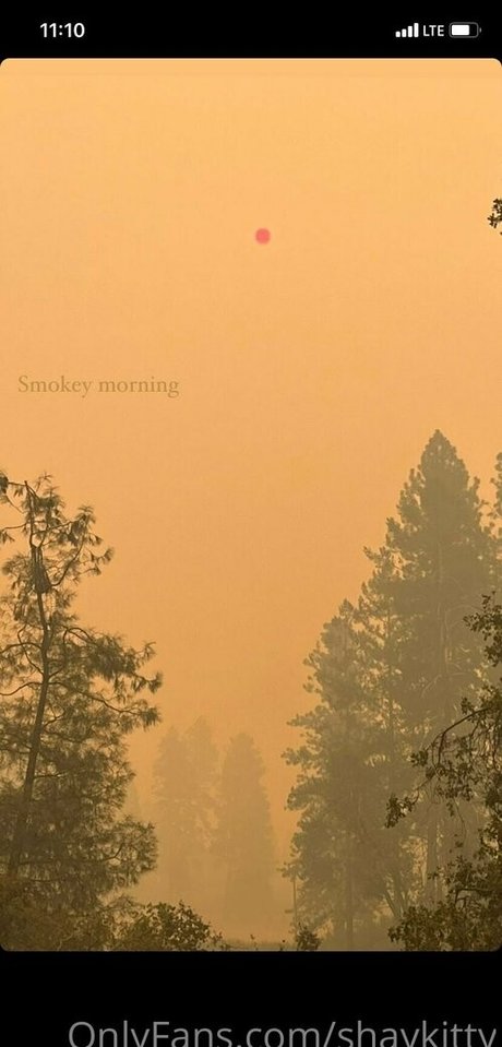 shaykitty erwachsene sexy archiv