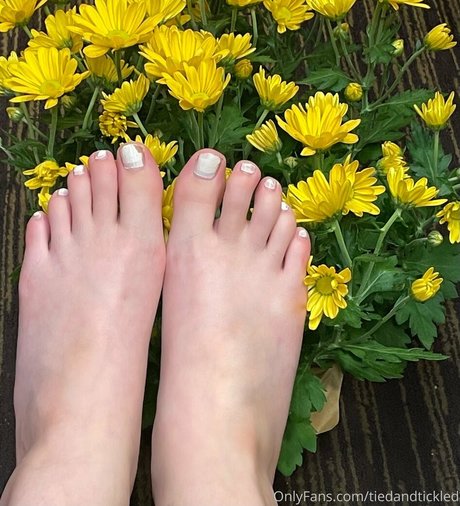 schönes gesicht nur fans erotische pornographische bilder