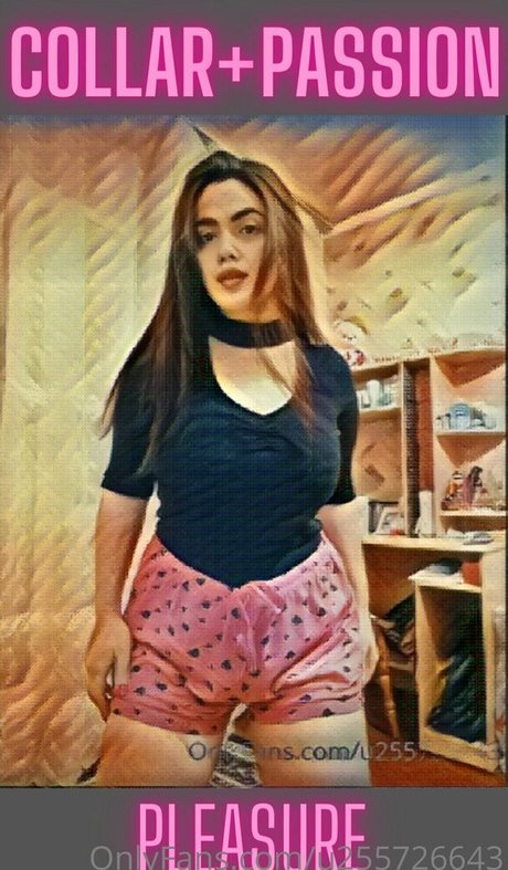 wildboobs erwachsene top bild