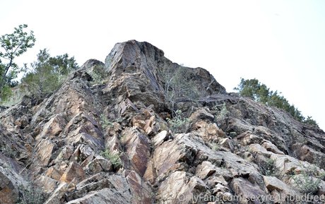 dünne große titten nur fans freie schöne bild