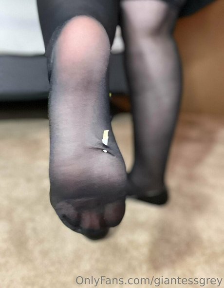 schwänze nur fans exklusive xxx galerie