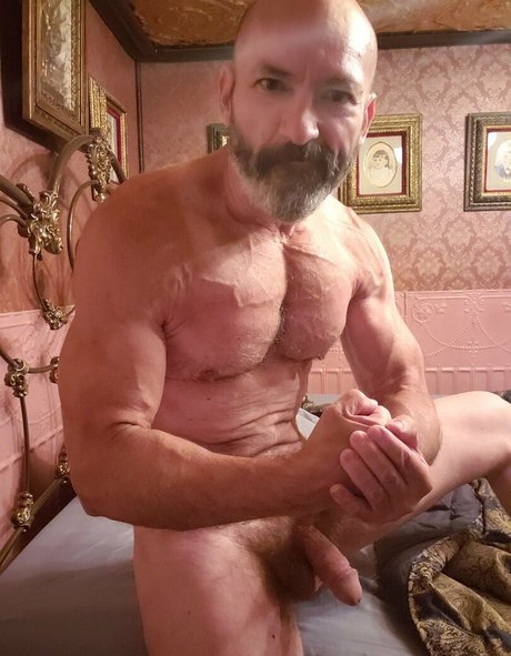 troymontana14 hübsche erotische archiv