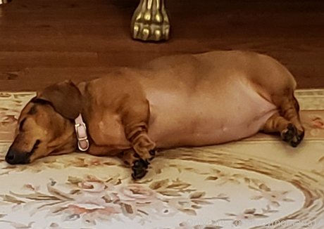 zehen-onlyfans porno perfekte foto