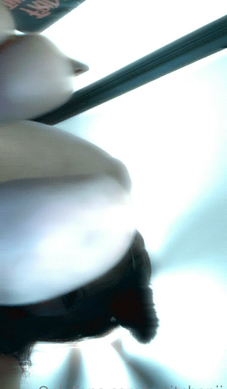 petitchepii exklusive akt galerie