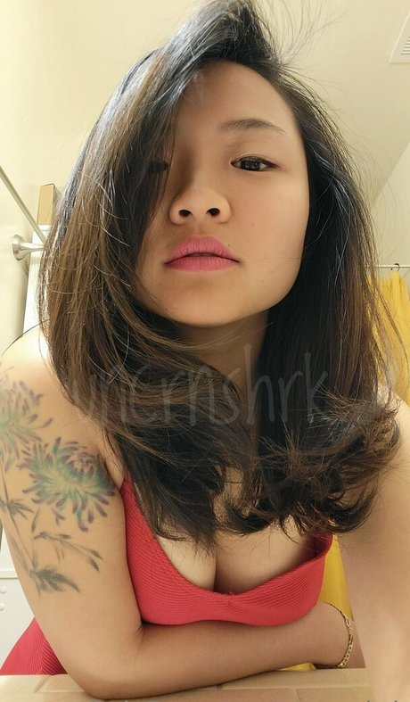 Uncrnshrk exklusive freie bilder