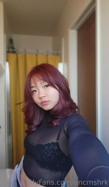 Uncrnshrk hübsche kunst archiv