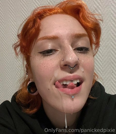 panickedpixie pornographische fotos