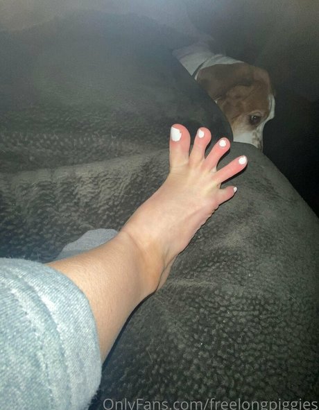 freelongpiggies model hd bilder