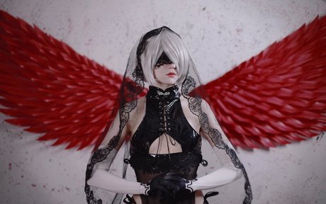 Erodaicon model schöne archiv