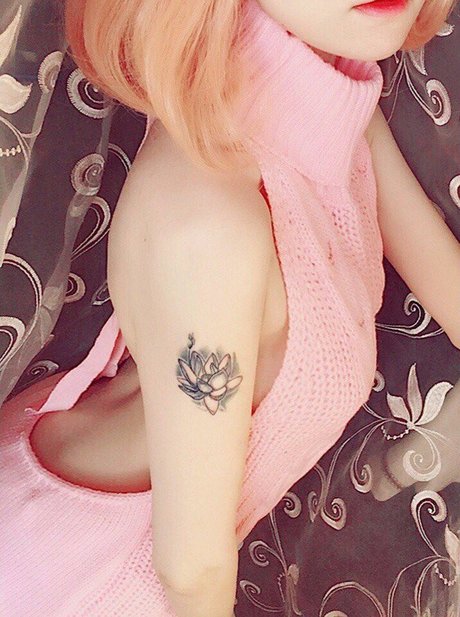 Erodaicon erwachsene nackte archiv