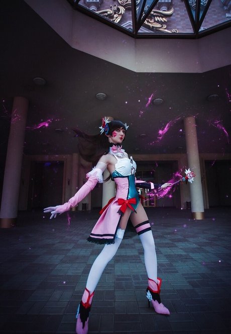 Erodaicon schöne foto