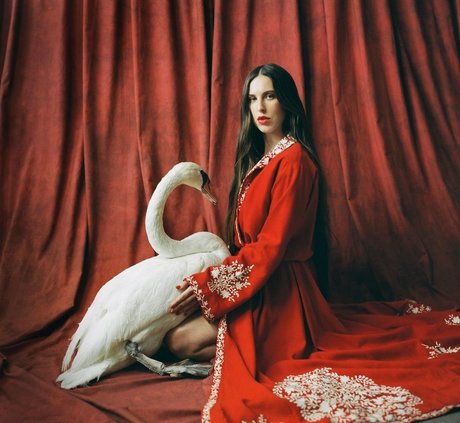 Scout Willis heiße erwachsene foto