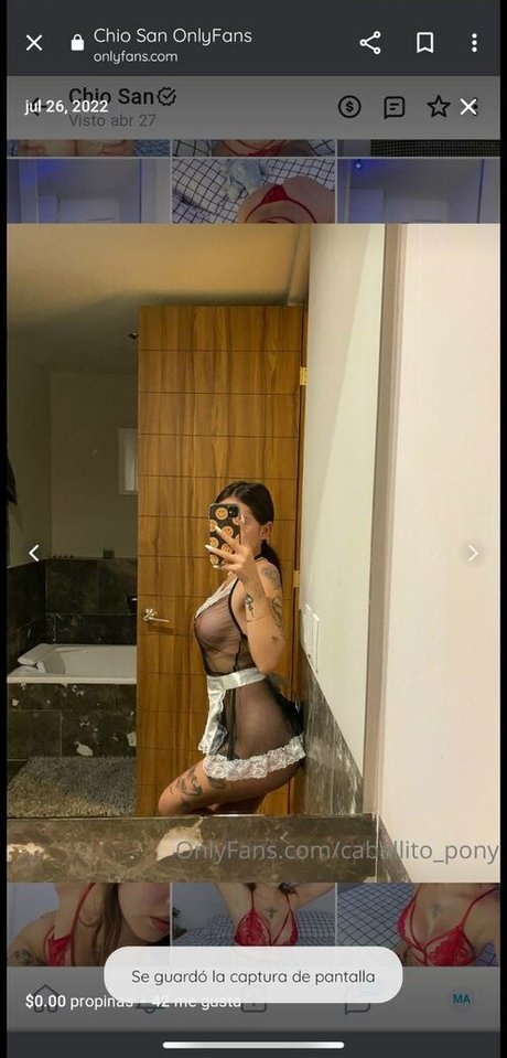 caballito pony nacktheit kostenlose bilder