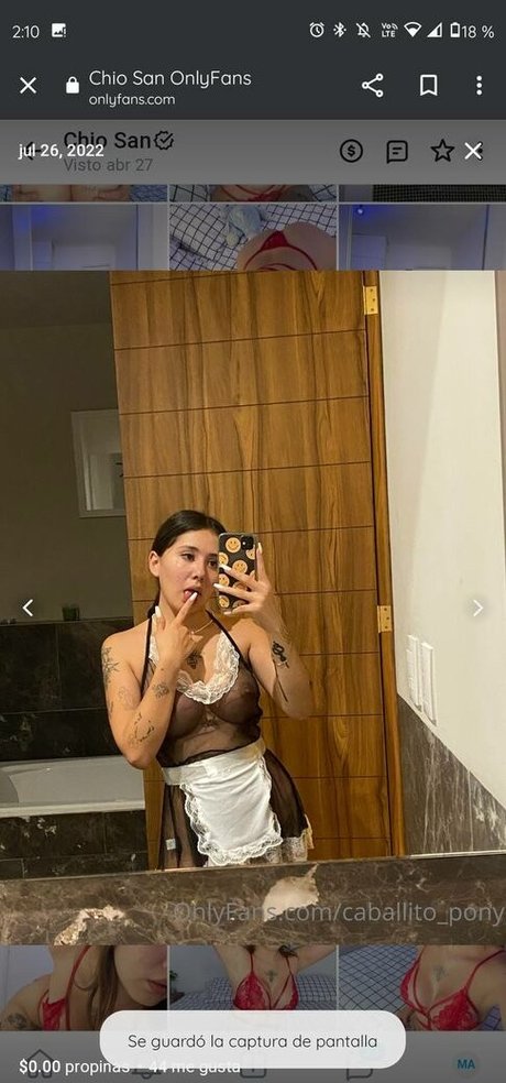 caballito pony heiße schöne galerie