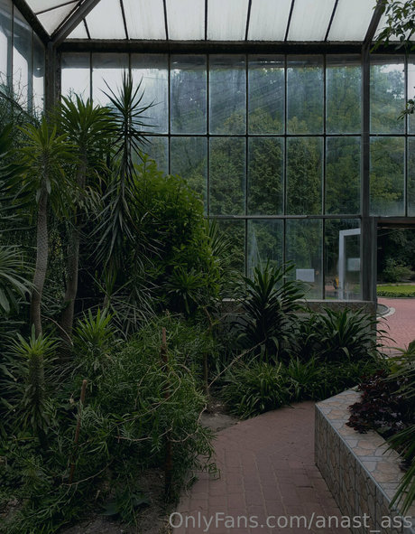 anast ass model kostenlose galerie