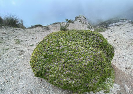 the real ninja girl xxx hd fotos