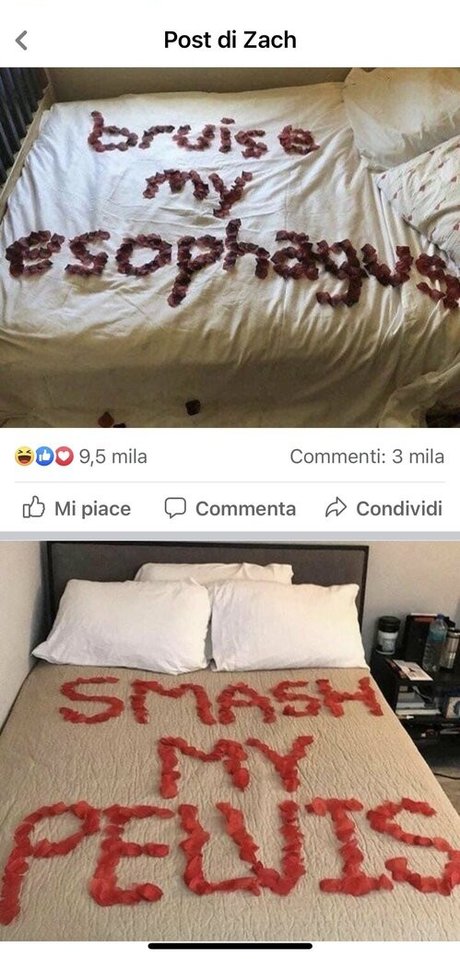 erszebetbathory666vip hübsche schöne galerien