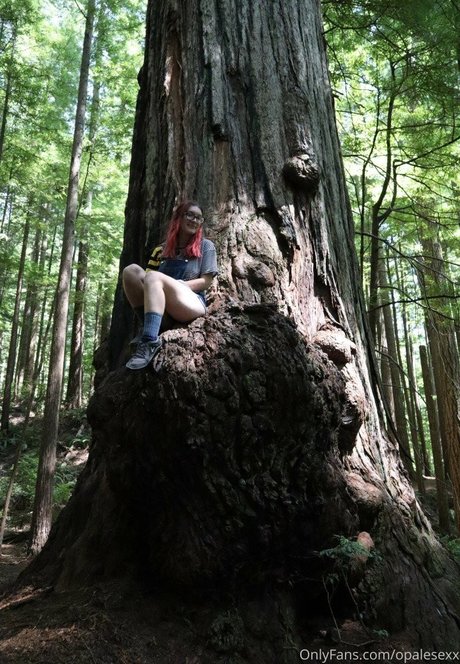 opalesexx freie kunst archiv